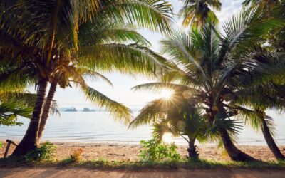 Gdzie nocować na Śląsku?